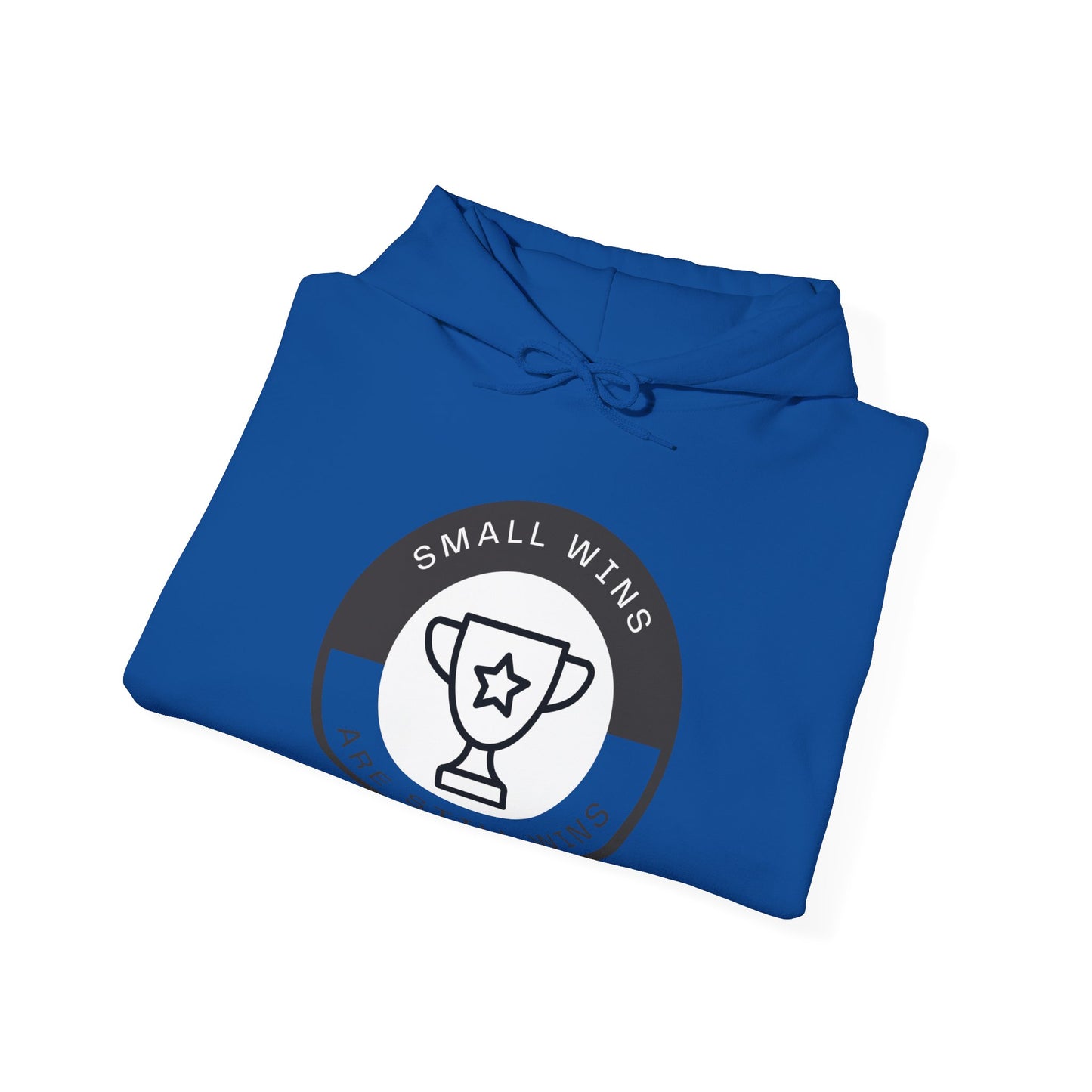 Small Wins Are Still Wins Unisex Hoodie