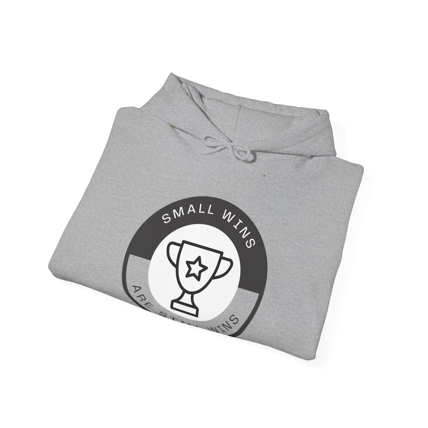 Small Wins Are Still Wins Unisex Hoodie