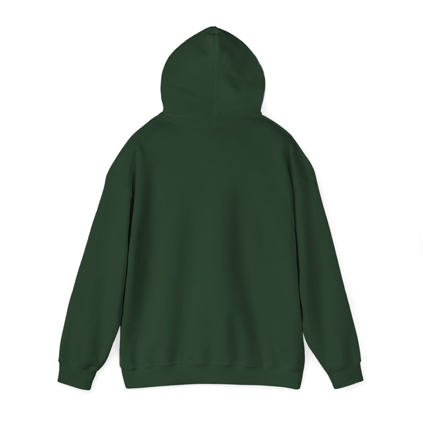 Chronically Misunderstood unisex hoodie