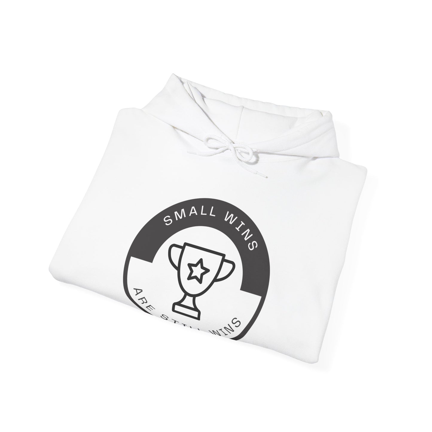 Small Wins Are Still Wins Unisex Hoodie