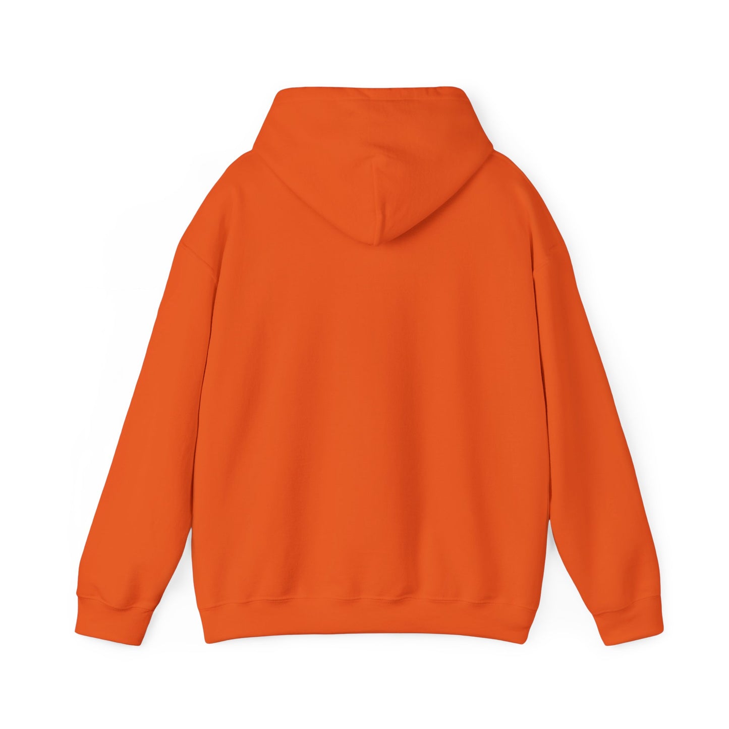 Chronically Misunderstood unisex hoodie