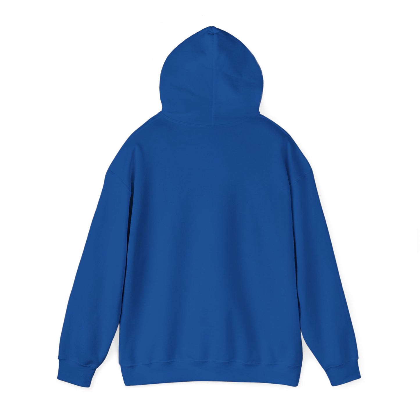 Chronically Misunderstood unisex hoodie